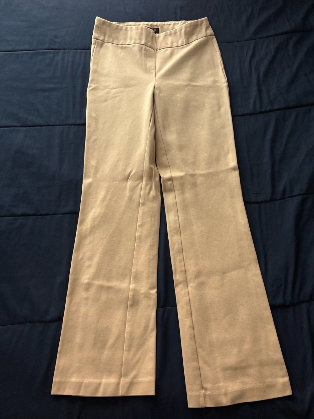 Jones New York Wide-Leg Dress Pants in Beige